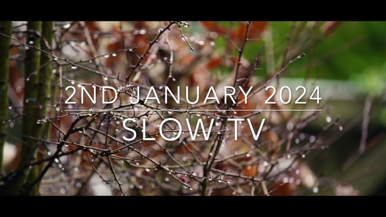Slow TV Jan 2024