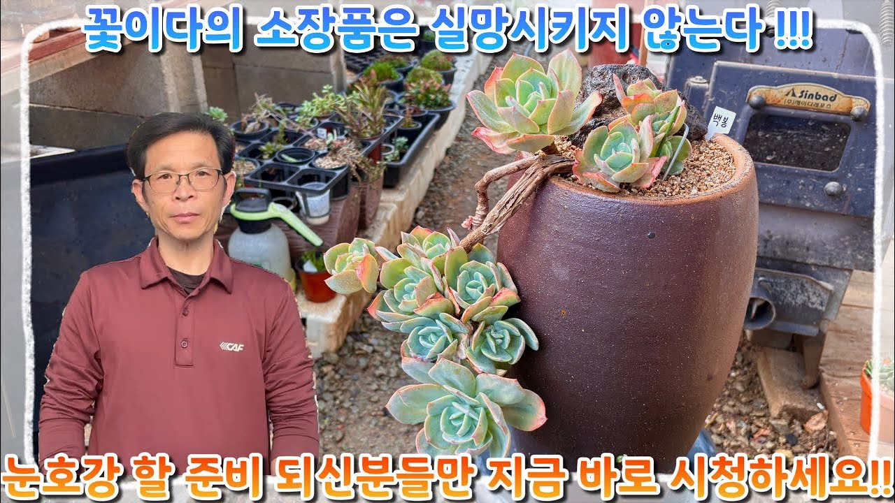 꽃이다의 소장품은 언제나 실망시키지 않는다 !! 눈호강할 준비 되신분들 !! 다들 지금 빨리 시청하세요 !