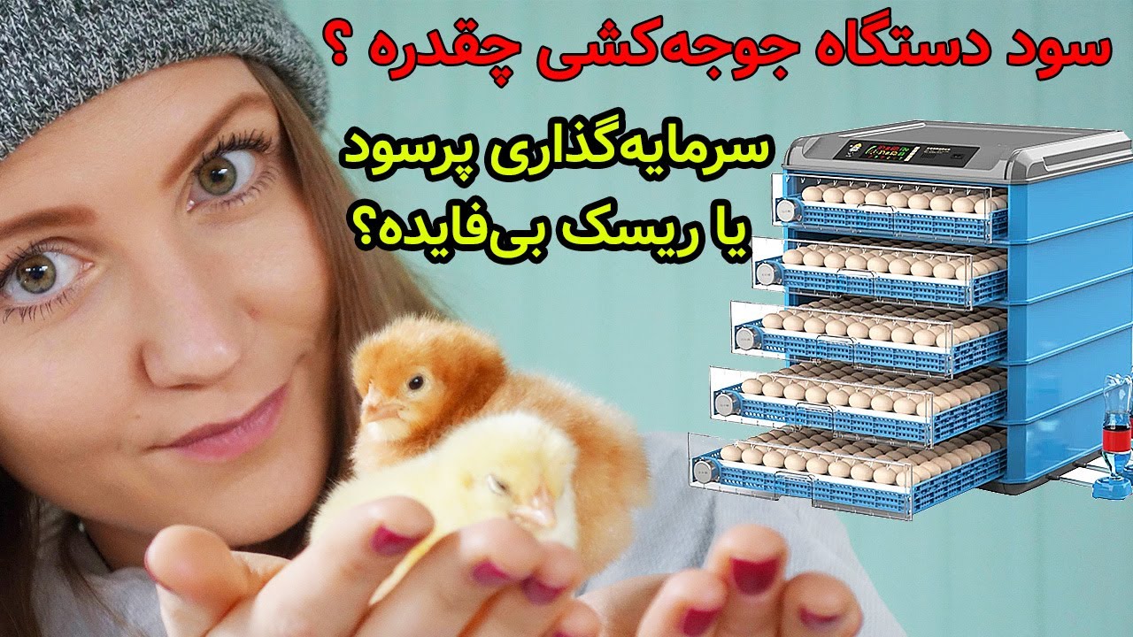 سود دستگاه جوجه‌کشی سرمایه‌گذاری پرسود یا ریسک بی‌فایده؟