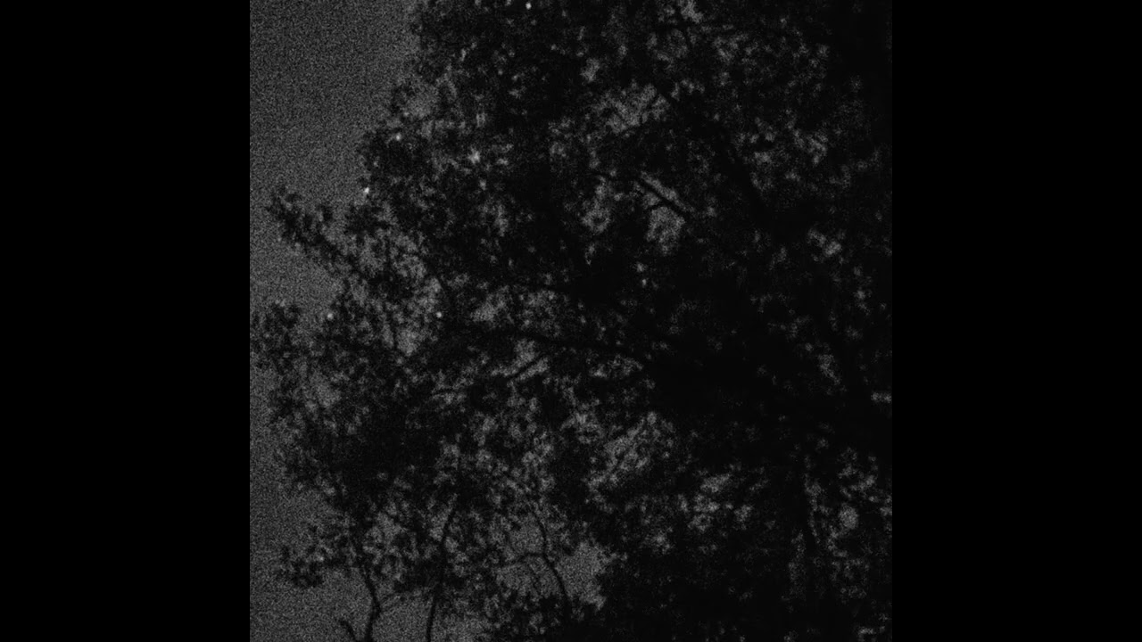 Love is Cruel (Slowed) - gone like summer