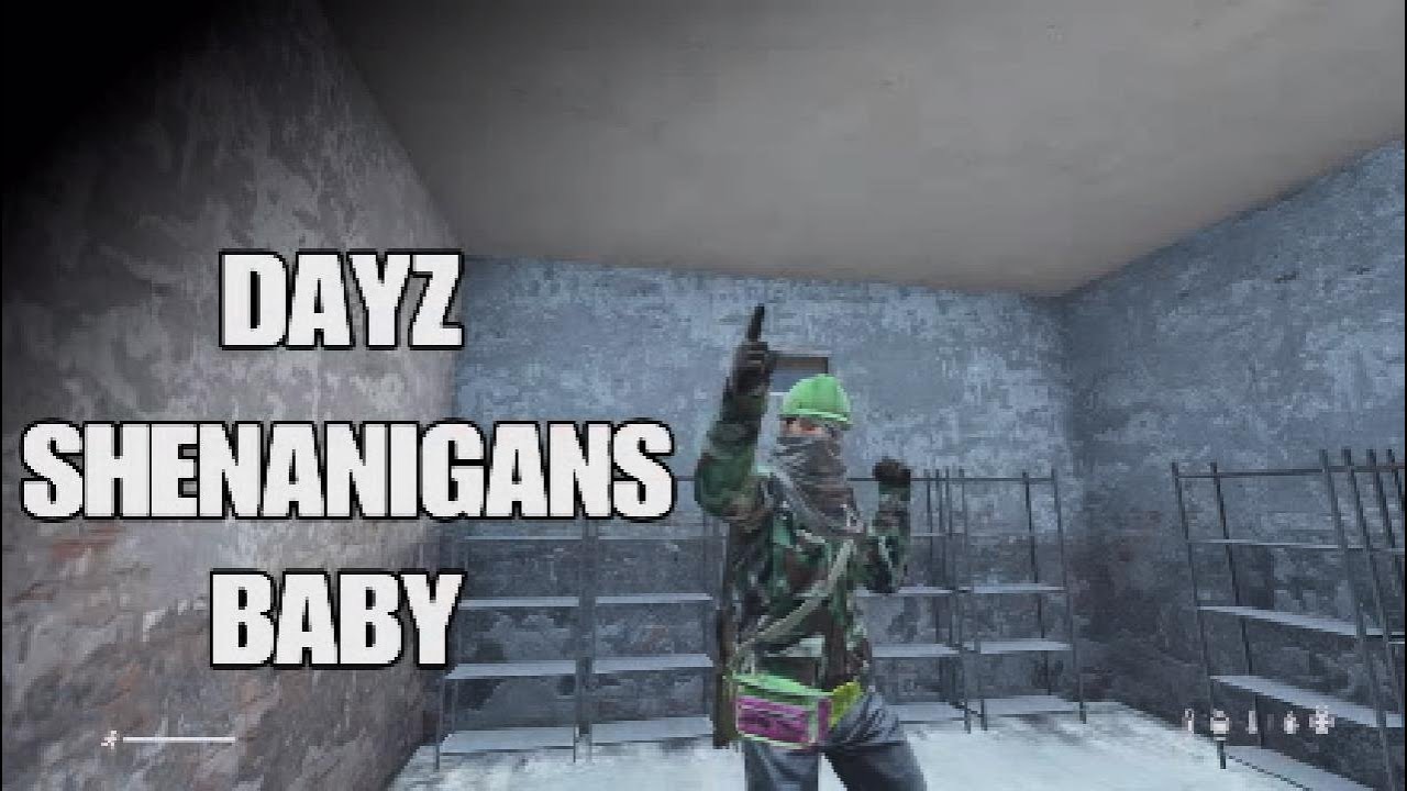DAYZ SHENANIGANS BABY