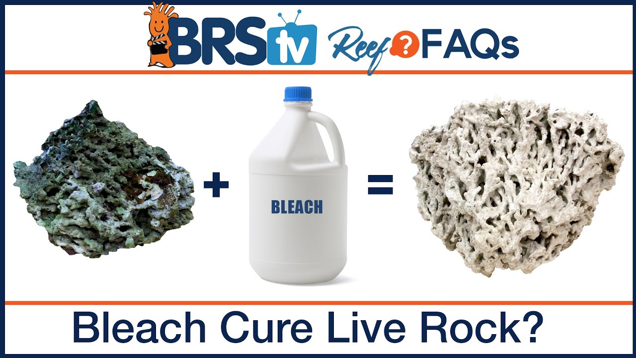 Bleach curing dry rock and live rock for a saltwater reef tank. | Reef FAQs