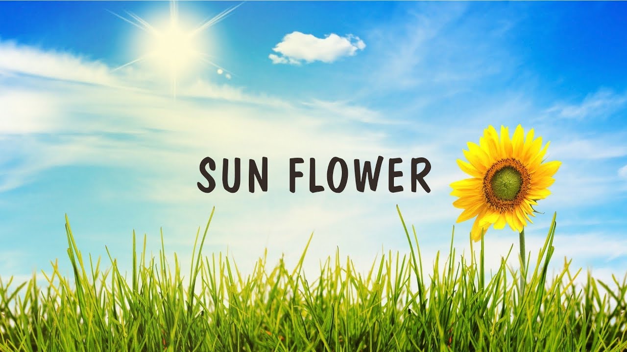 [FREE] Dancehall Instrumental Beat - Sun Flower [Prod.By Zahiem] 2020