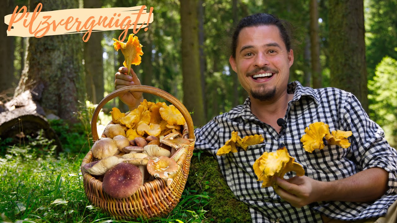 Monster Pfifferlinge im Hochsommer 2024 👑 tolle Täublinge, Reifpilze und viele neue Arten