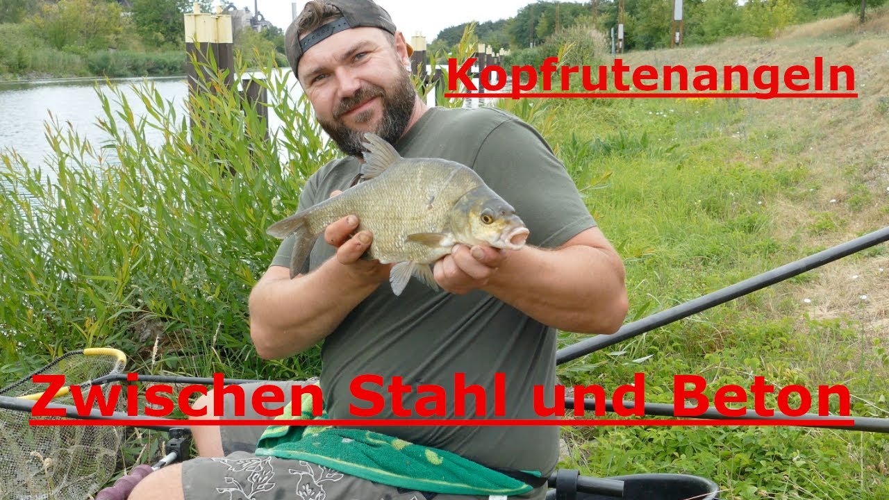Kopfrutenangeln zwischen Stahl und Beton