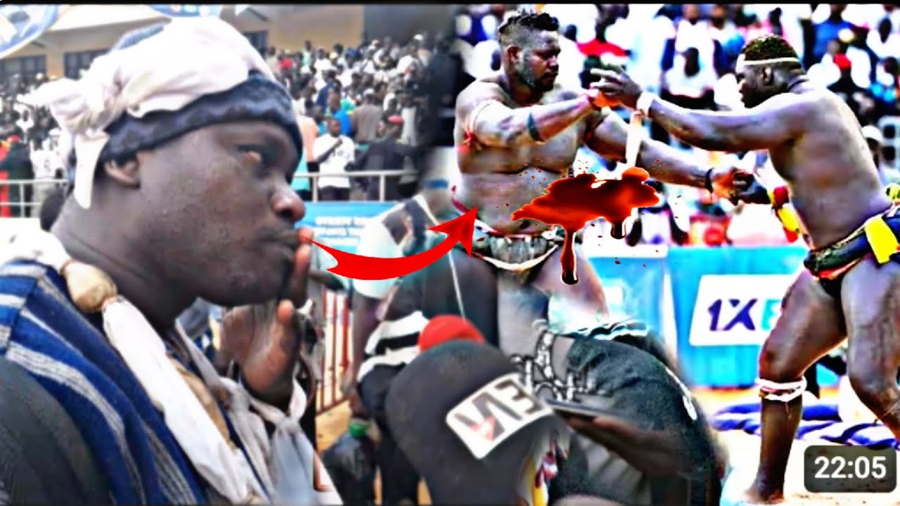 PREMIER RÉACTION DE LUITHIORVSUR VICTOIRE DE FRANC SUR TAPHA TINE SITEU ET BOY NIANG‼️