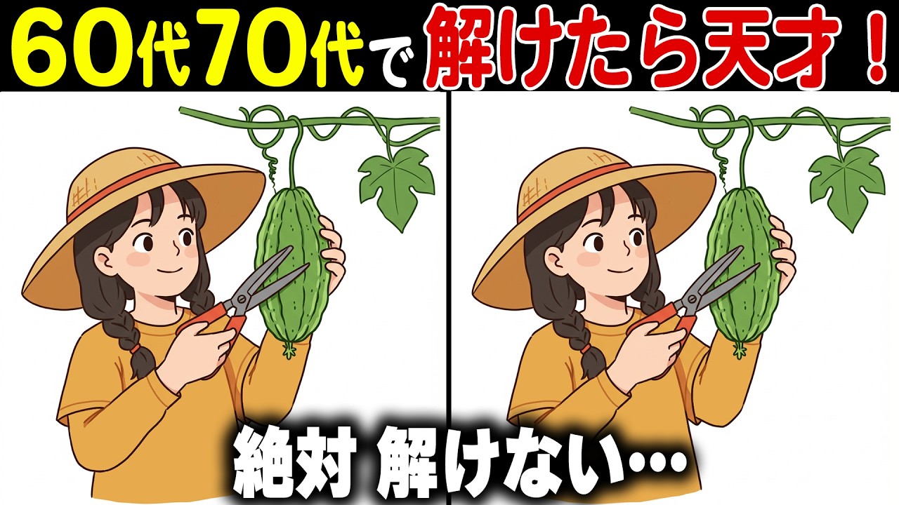 【間違い探し脳トレ】60代70代高齢者向け脳寿命を伸ばす無料クイズで頭の体操！【認知症予防/老化予防/記憶力】