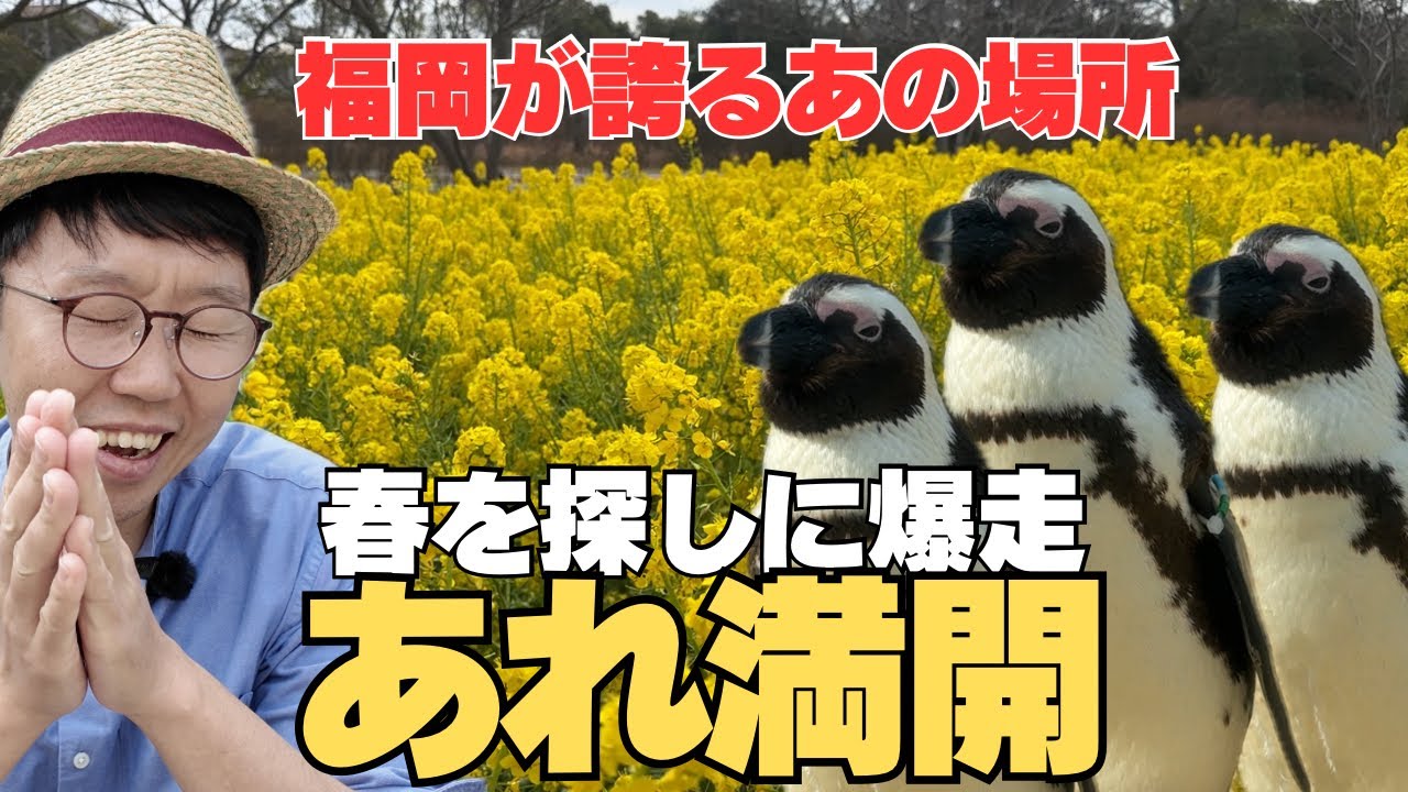 海の中道海浜公園に〇〇が咲いていた！マリンワールドも大賑わい！