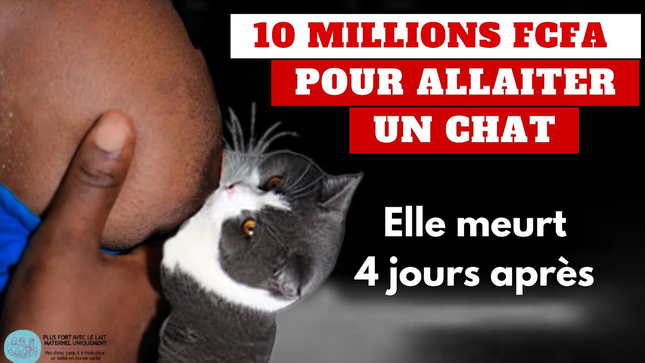 🇨🇬 ELLE MEURT 4 JOURS APRÈS AVOIR ALLAITER UN CHAT POUR 10.000.000 FCFA #PPA