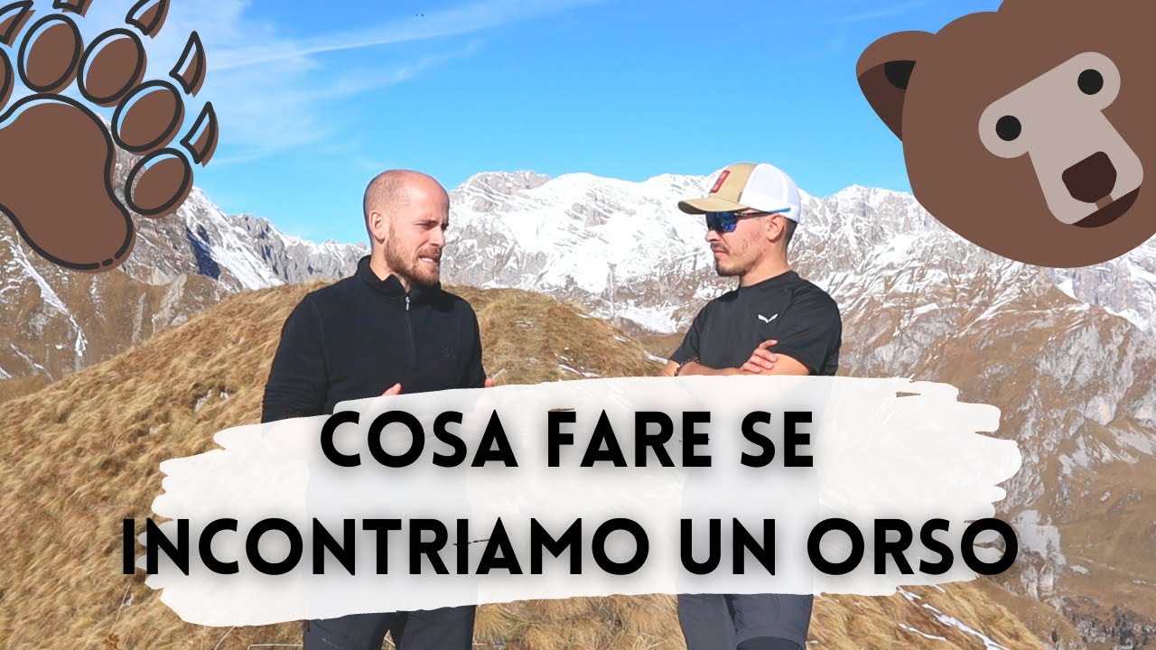 Cosa fare se incontriamo un ORSO