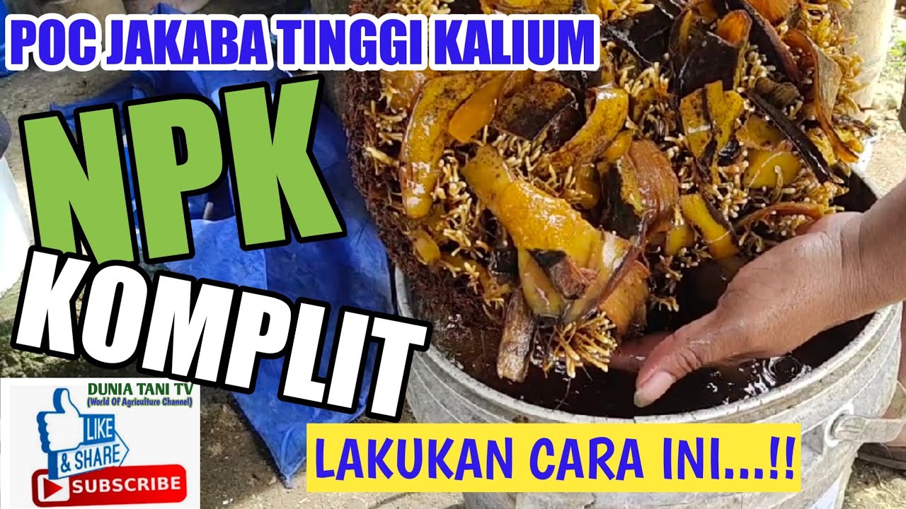PUPUK ORGANIK CAIR TERBAIK #JAKABA BERKALIUM TINGGI #part2