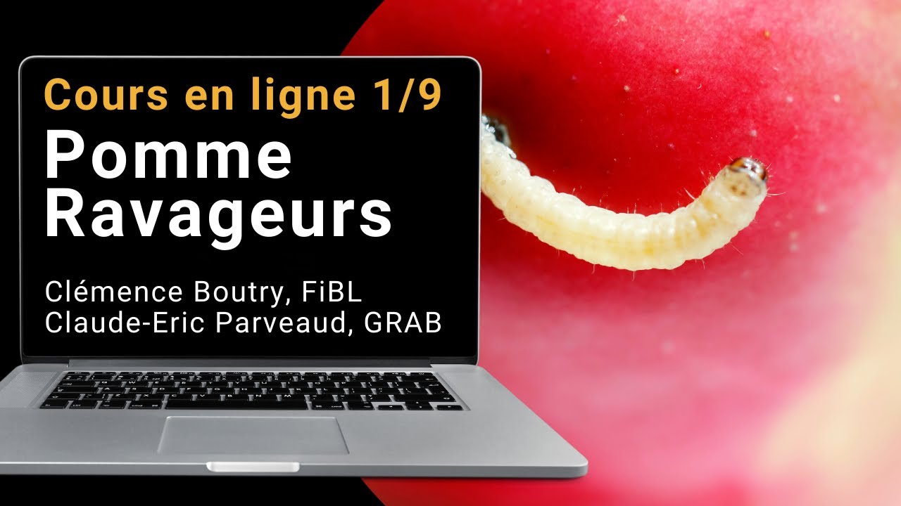 Cours en ligne 1/9 BIOFRUITNET: pomme ravageurs