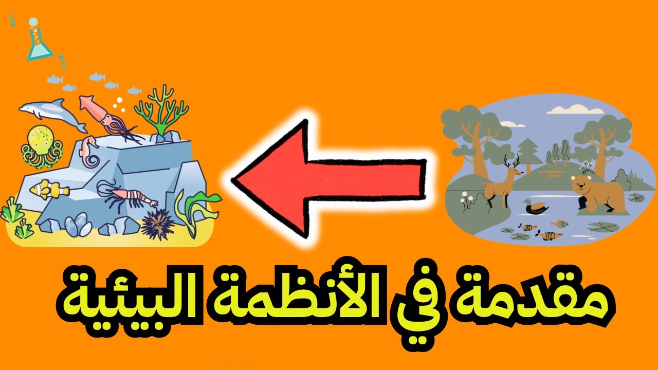مقدمة في الأنظمة البيئية - للصف الرابع #علوم