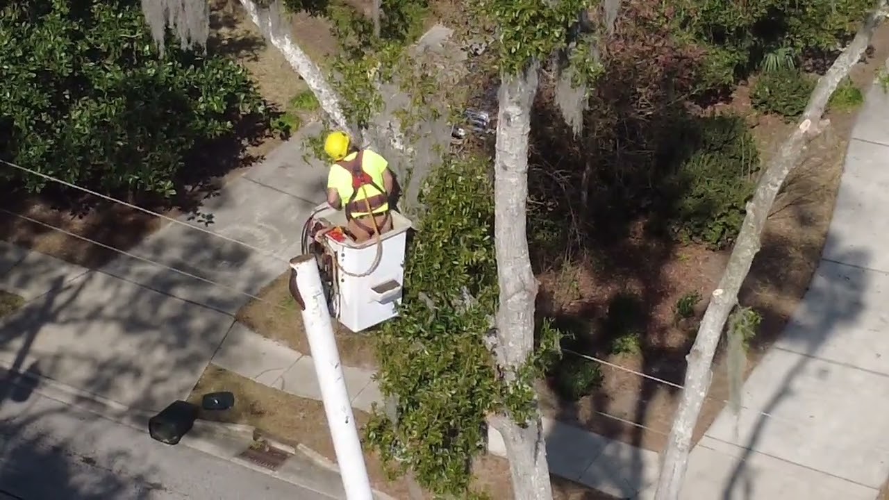 February 6, 2026 DRONE FOOTAGE . TREE REMOVAL / DR BAIRD . BLAKR AVE / ORANGE PARK FLORIDA