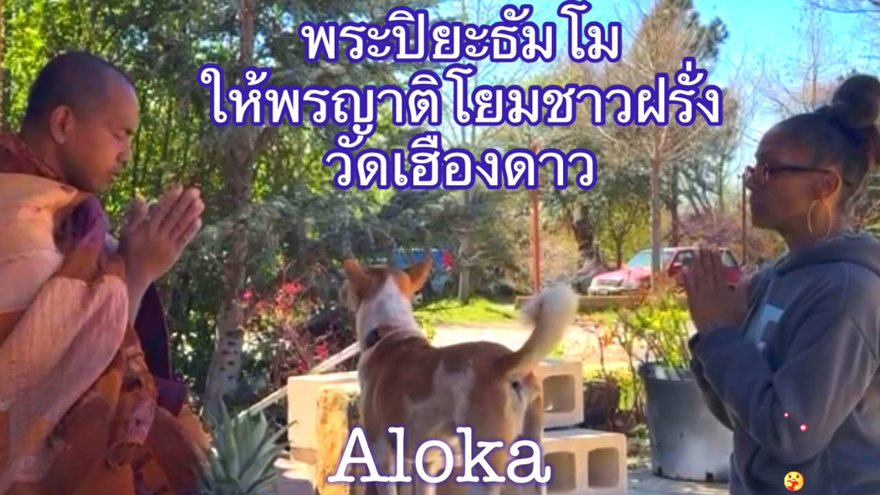 Pra Piyatummo🙏🇹🇭🇺🇸ศรัทธาไร้พรมแดน: ญาติโยมชาวฝรั่งขอพรพระปิยะธัมโม วัดเฮืองดาว รัฐเท็กซัส อเมริกา