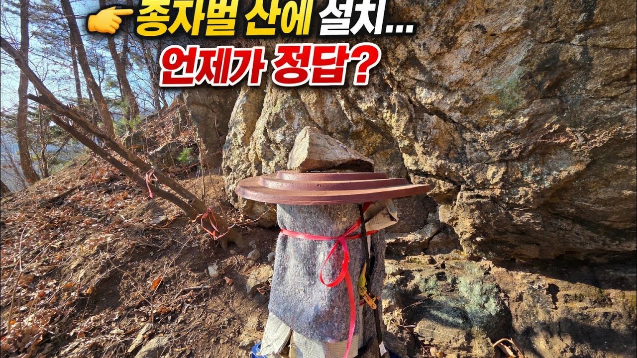 종자벌 산에다 설치는 언제가 좋을까, 4월초에 설치 최적기 입니다,