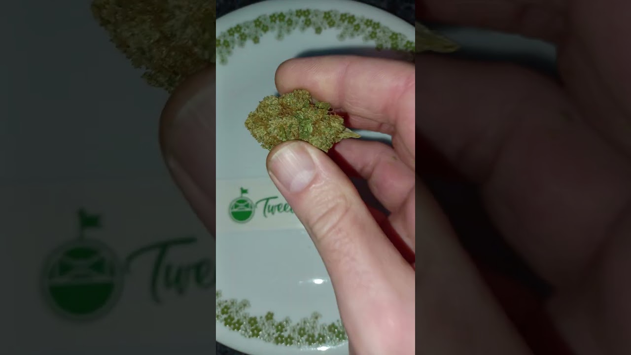 Guava Jelly, indoor grown CBD hemp flower, Tweedle Farms (is it good?)