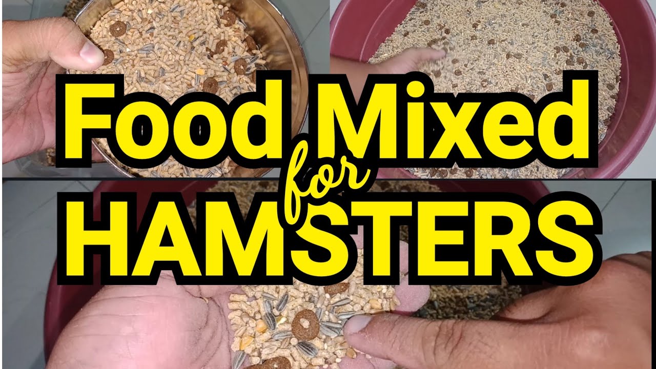 Murang Food Mixed Para sa mga Hamsters - Healthy na, Mura pa at Pangaramihan pa!
