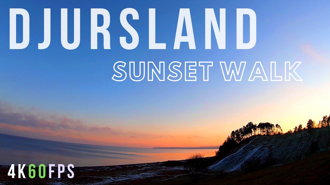 ⁴ᴷ⁶⁰ Denmark Nature Walk | Beautiful Sunset Walk in Djursland | Denmark Slow Tv 🇩🇰