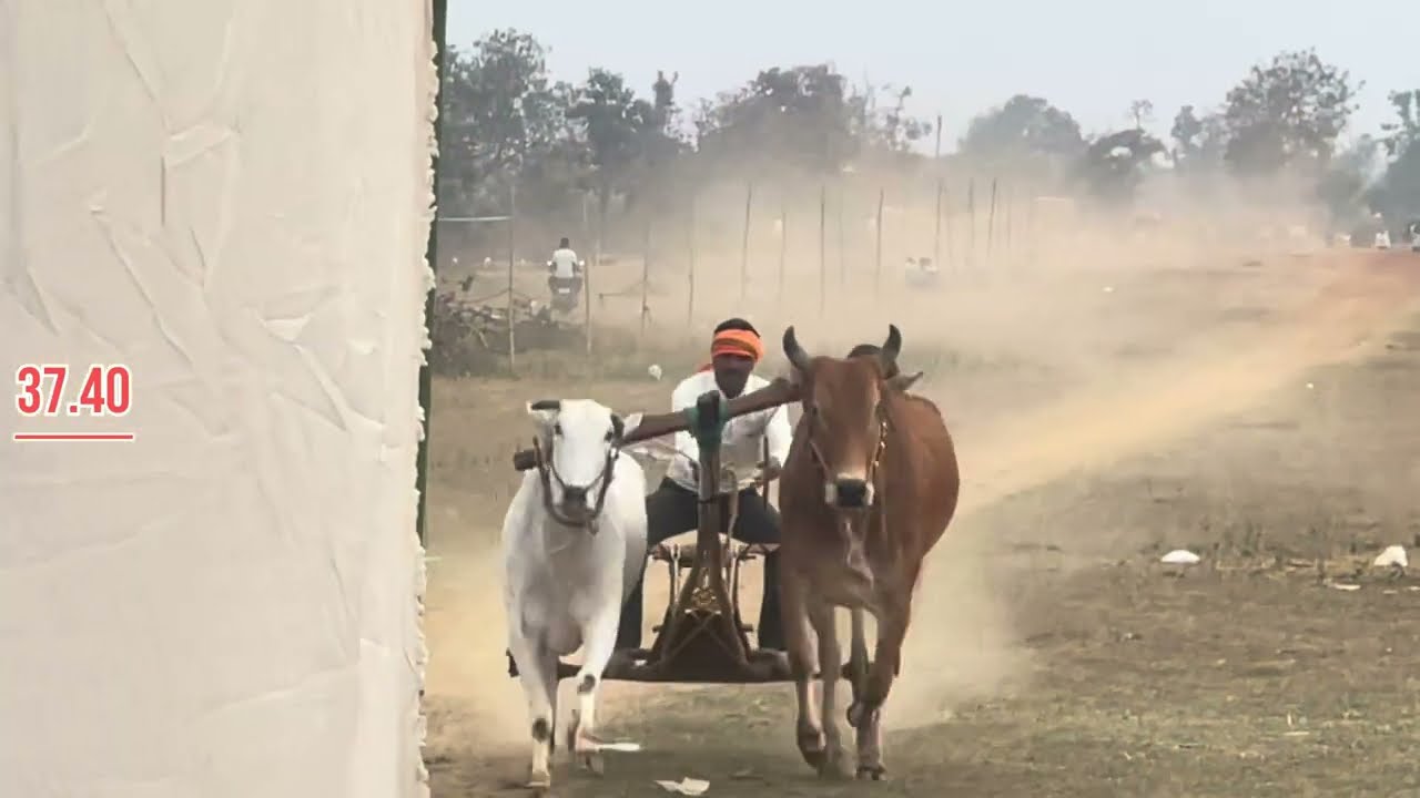 Dighore ji Kinhi ( Nilu group ) & other Top jodya Pohara Pat 