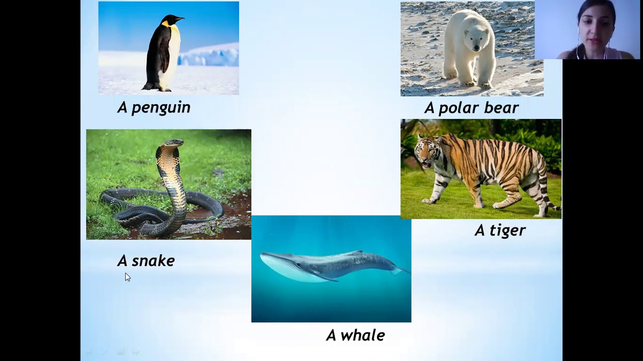 Prepare 3_Unit 2_Vocabulary 1