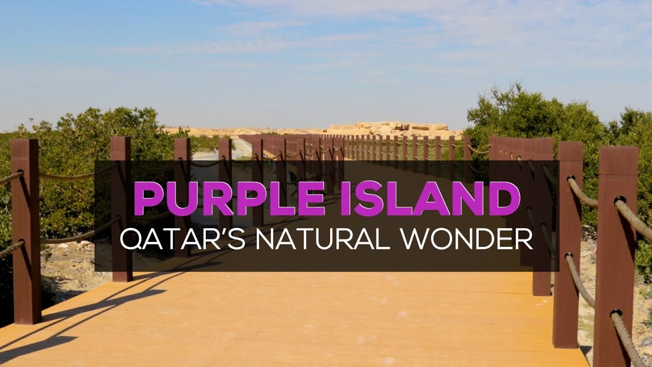 Visiting Purple Island (Al Khor Island): One of Qatar's natural wonders