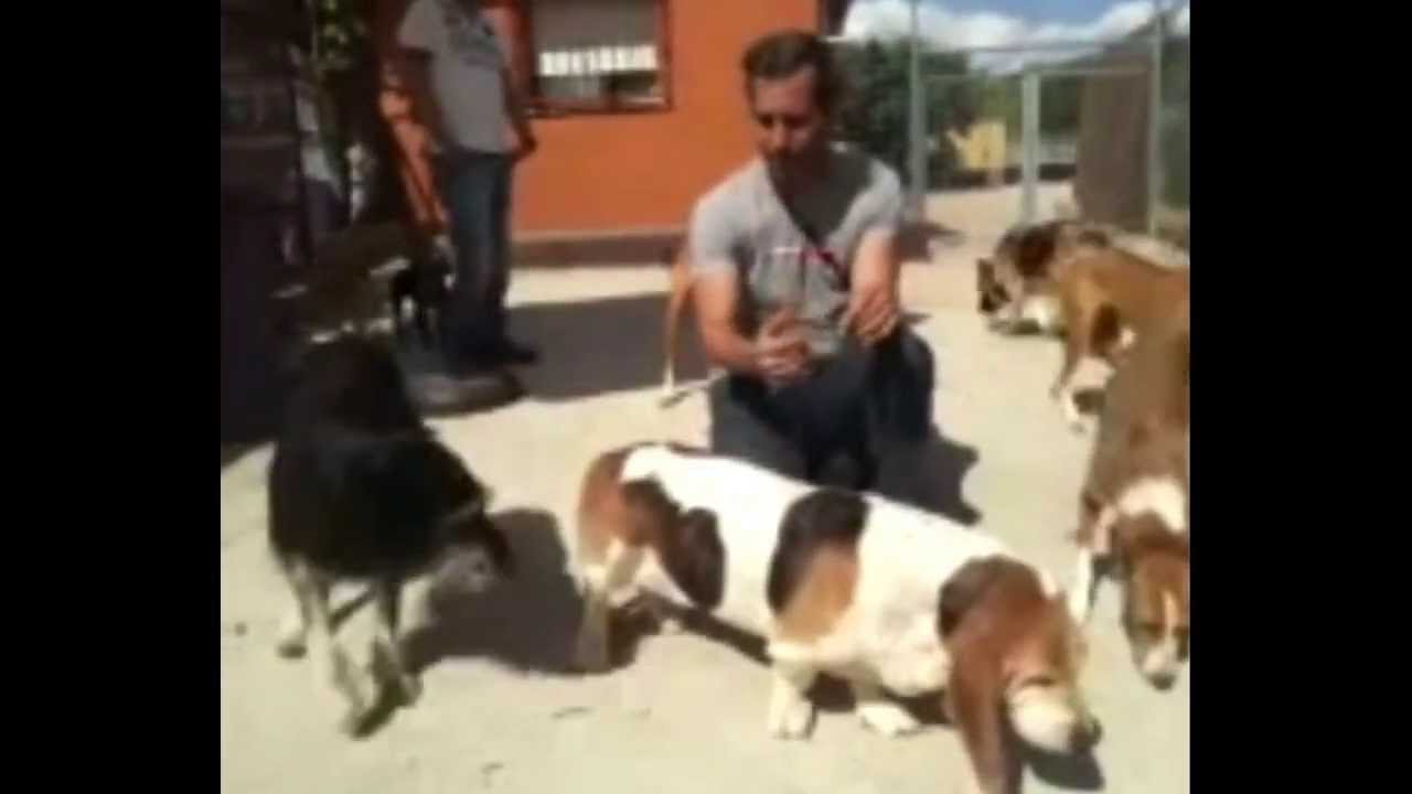 Centro de Rehabilitación Canina Borja Capponi Academy en directo!
