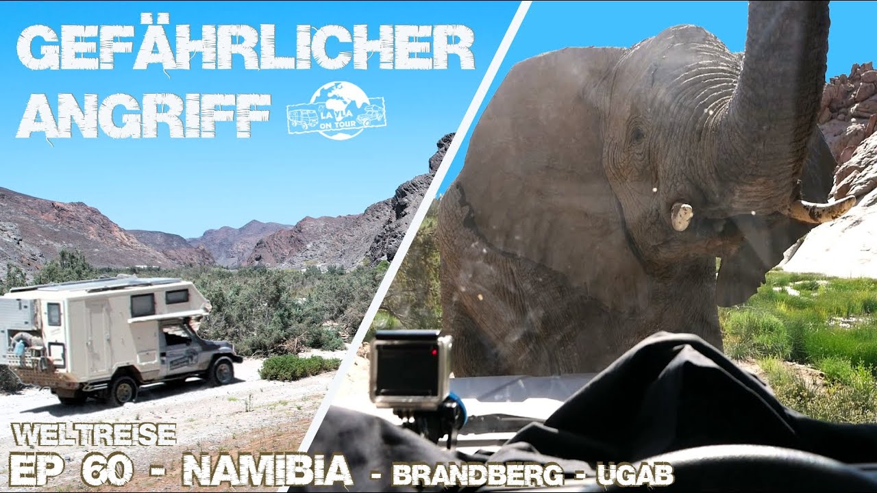 JETZT REICHT´S! ELEFANTEN ANGRIFF & DROHNE ABGESTÜRZT! Abenteuer Namibia Overlandingafrica | EP 60