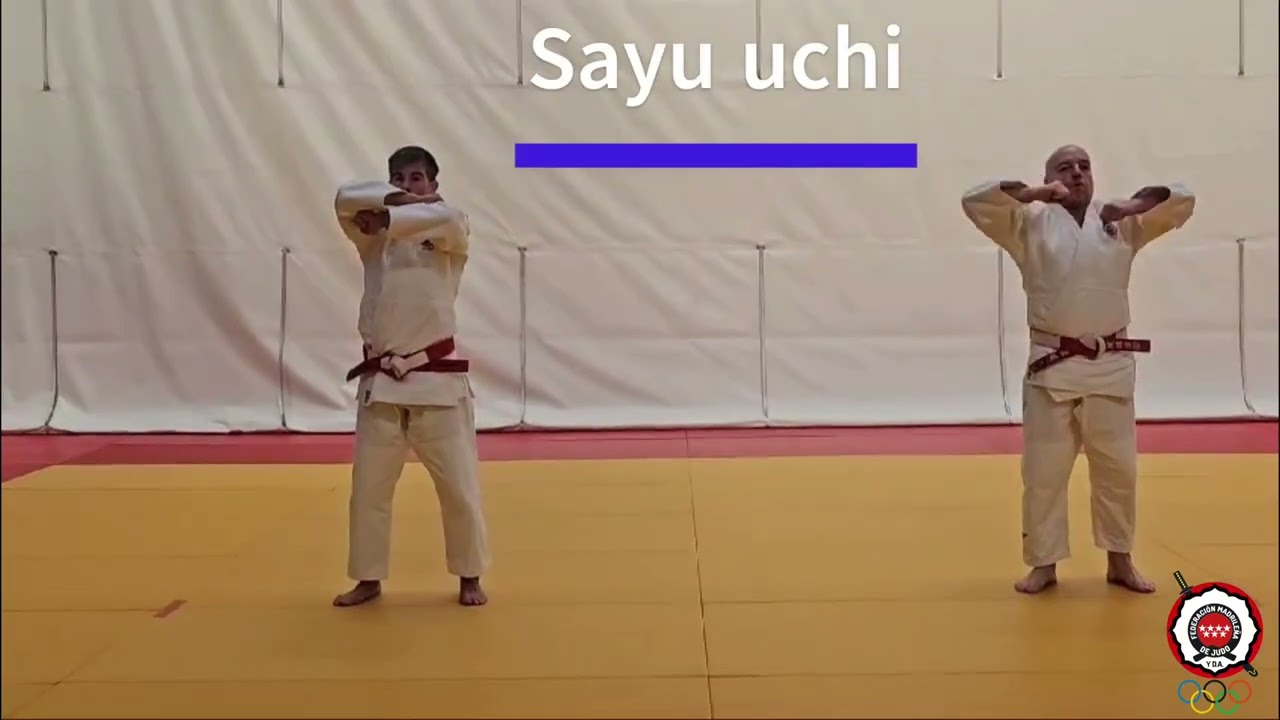 Seiryoku Zen'yo Kokumin Taiiku (Alevín, Infantil, Cadete) Javier Linger & Fran Nicolás - Fmjudo