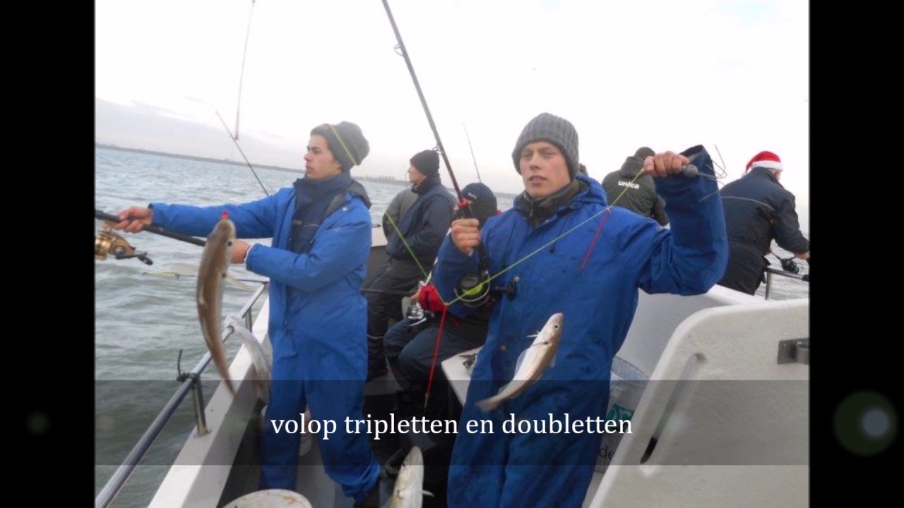 Fishguppy, ankervissen met De Zeearend op de Westerschelde