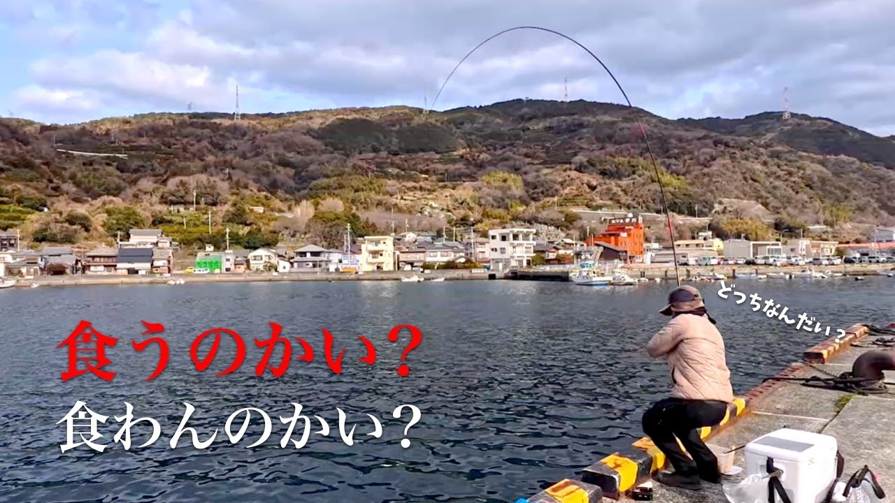 「ウキが出たり入ったり」冬のグレ釣り【のべ竿クラブ】