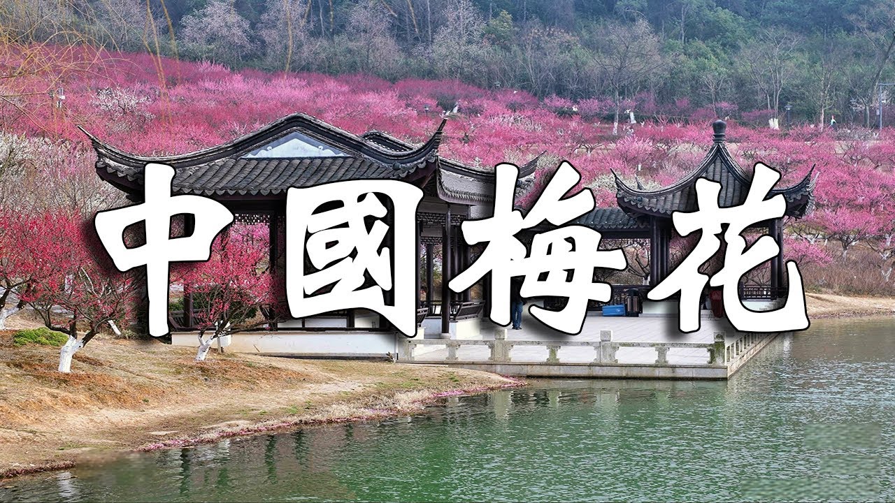 中國十個絕美賞梅地！ 走過5個算你厲害，全都征服的話，你就是梅花達人！【樂樂視界】