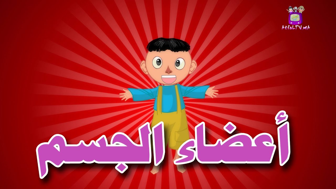 Human Body Parts In Arabic - Atfal TV | أعضاء الجسم باللغة العربية - أطفال تيفي