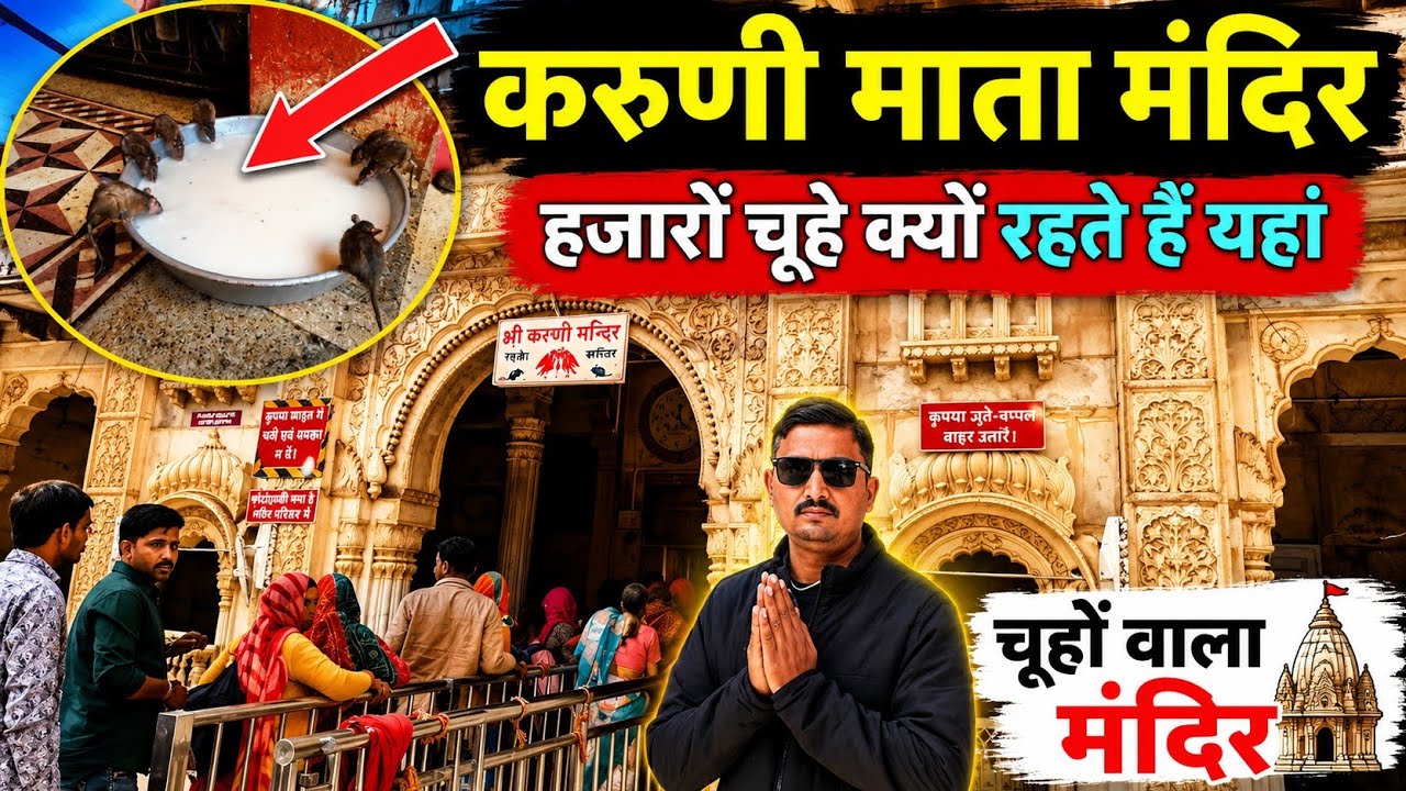 करणी माता मंदिर - बीकानेर, karni mata temple mystry - bikaner 