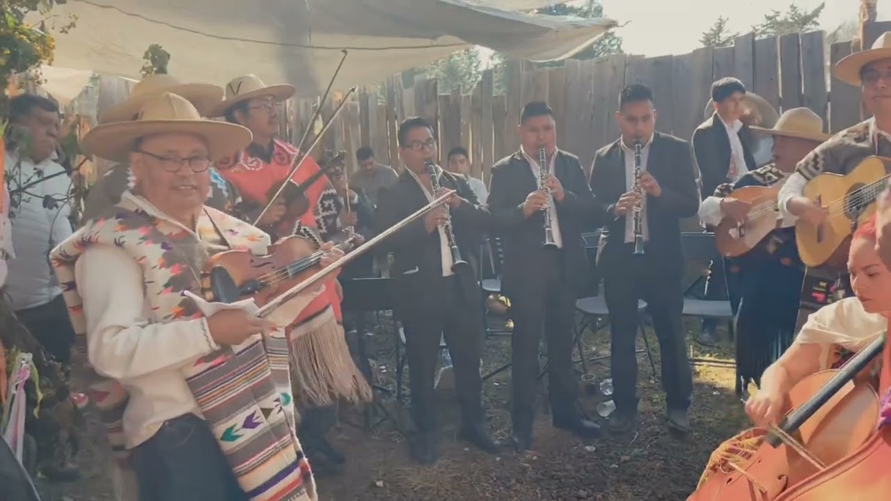 El Gallito Abajeño