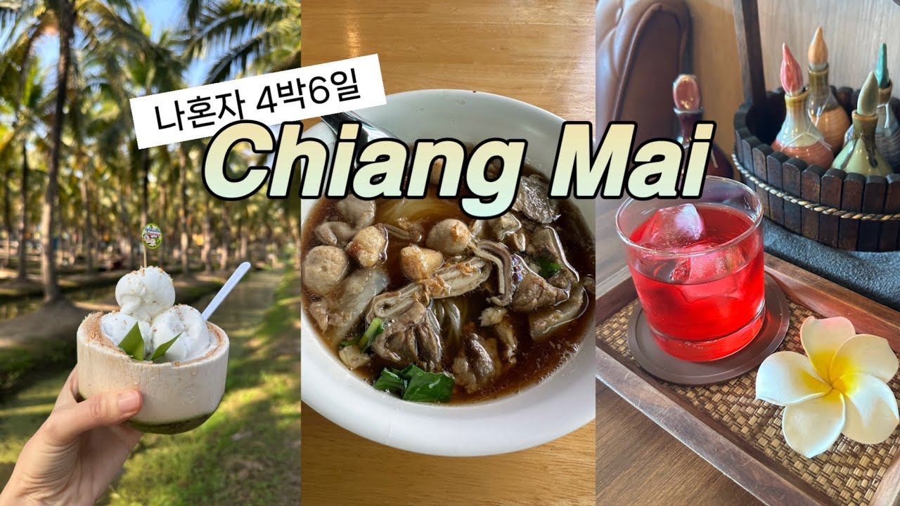 여자 혼자 치앙마이 여행Vlog🇹🇭 맛집, 숙소, 마켓, 마사지를 곁들인..✨