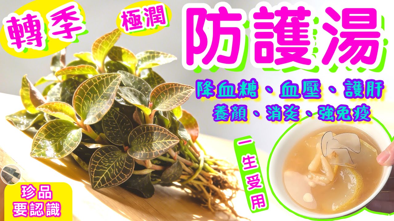 珍貴秘草防護湯🪷學識運用一生健康🌟功效全面不止於上圖🌟食譜幫到你請點讚/訂閱/分享/留言🌟加入會員直接贊助持續創作💞廣結善緣、感謝支持🙏🏻