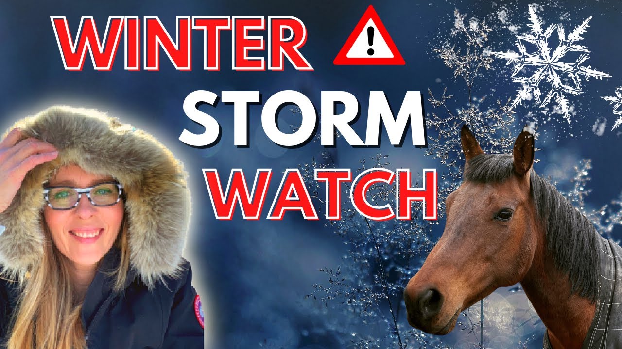 Winter-proof Your Hobby Farm: Prepare For Winter Storms And Cold Weather