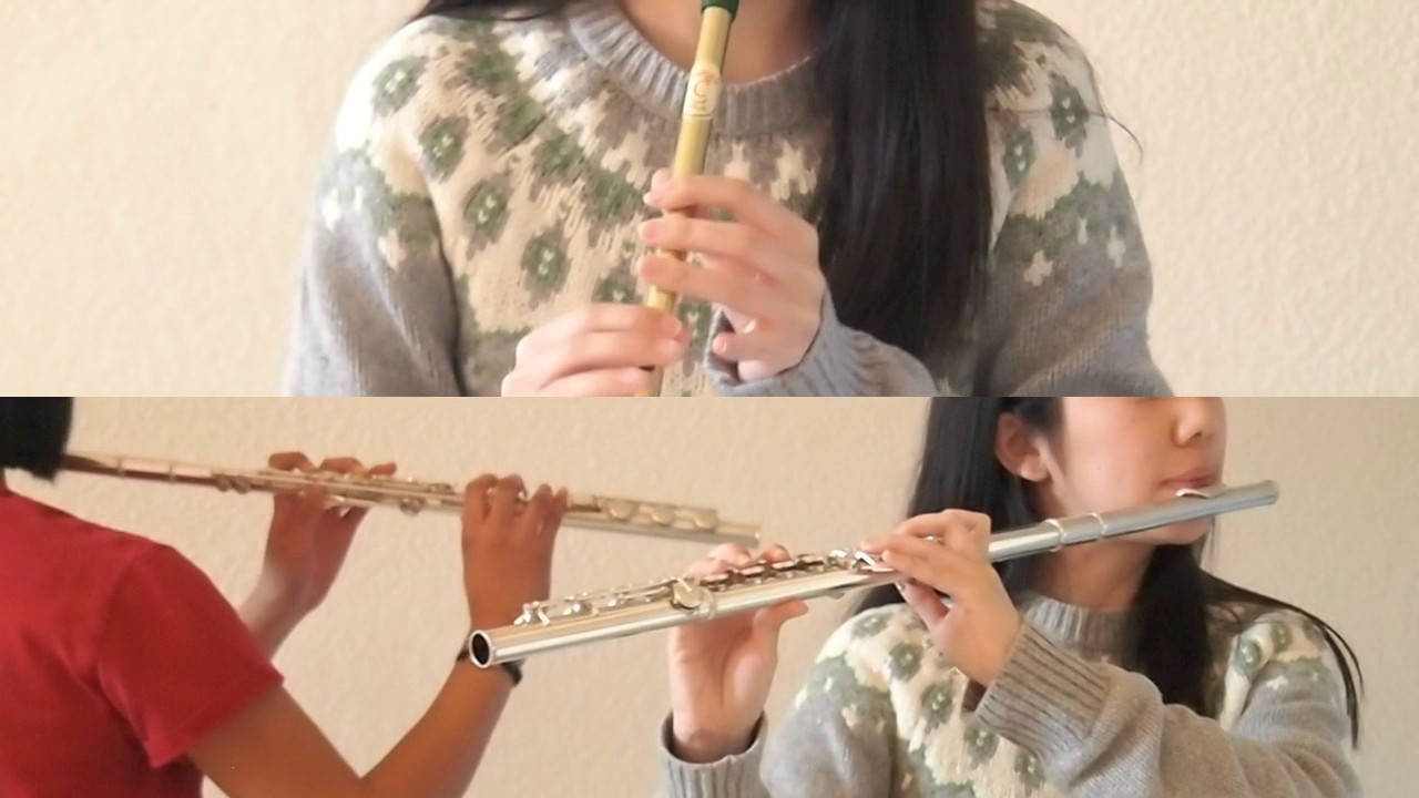 Promontory from The Last of the Mohicans (The Gael) - Flute & Tin Whistle