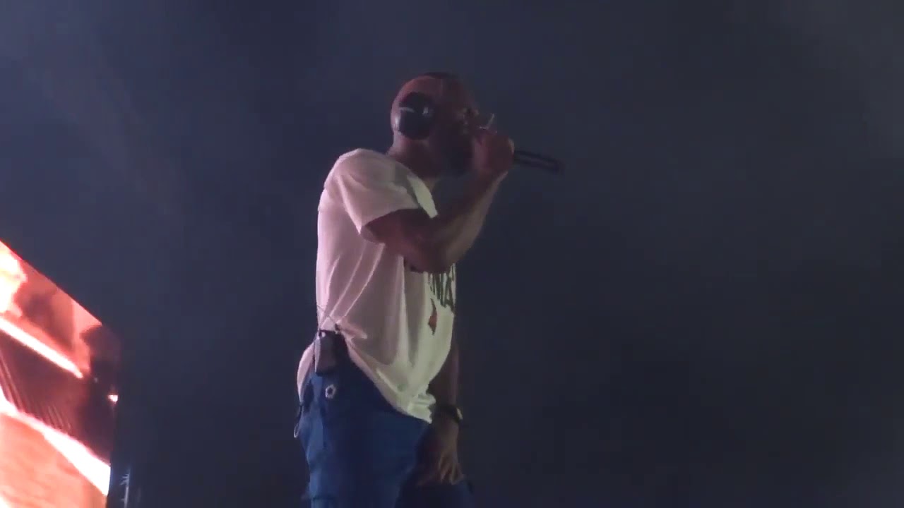 Frank Ocean Live at FYF Festival 2017