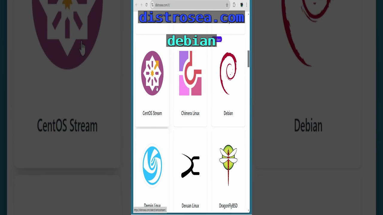 Prova Linux Senza Installazione con DistroSea! 🌐 #Linux #distrolinux #browser #opensource