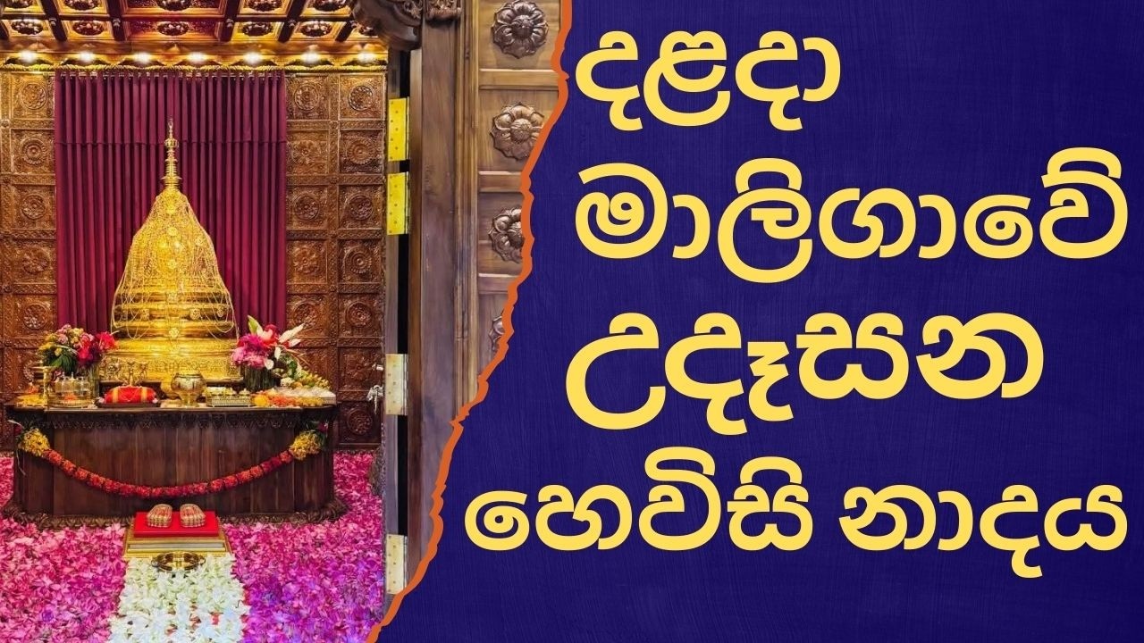 දළදා මාලිගාවේ සවස් තේවා හේවිසි – හදවත පිරිසිදු කරන නාදය 🎵 SIRI DALADA THEWA HEVISI NADAYA