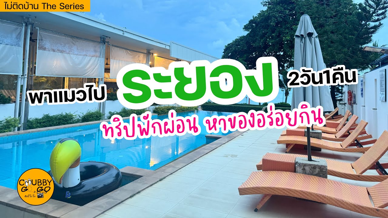พาแมวเที่ยว | Trip with แมว กินทุเรียนถึงสวน ระยอง 2 วัน 1 คืน | ไม่ติดบ้าน EP72