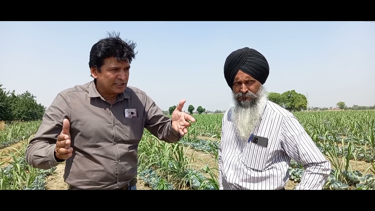 The best way to boost up the economy of small farmer.