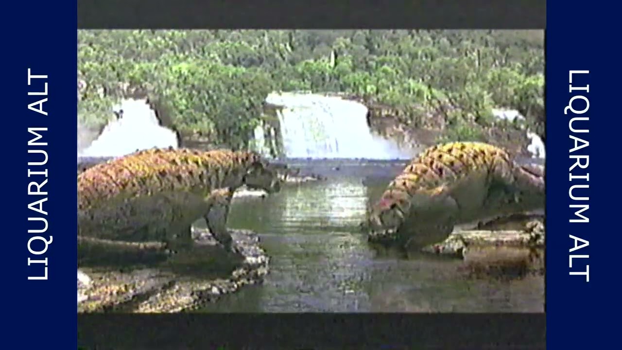Opening de la película 