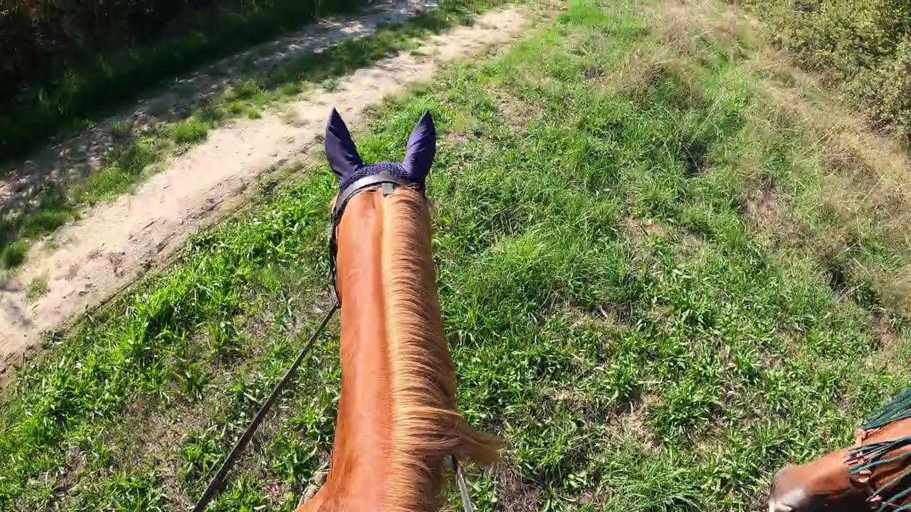 Last ride in the 2025 heat?