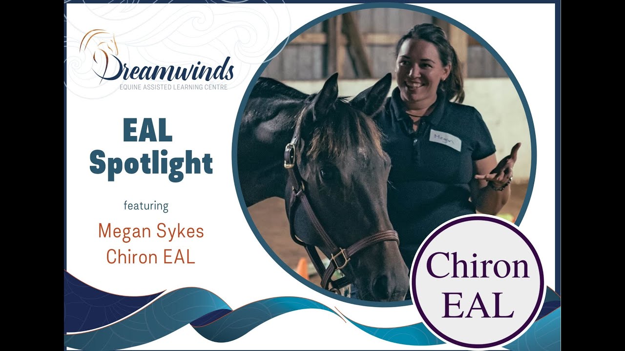 Dreamwinds EAL Spotlight - Chiron EAL