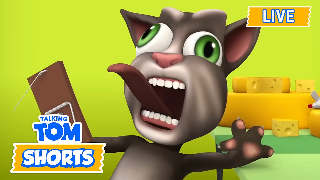 🔴LIVE: Schau dir all den Käse an 🧀 | Talking Tom Live | Lustige Tiercartoons | Talking Tom Shorts