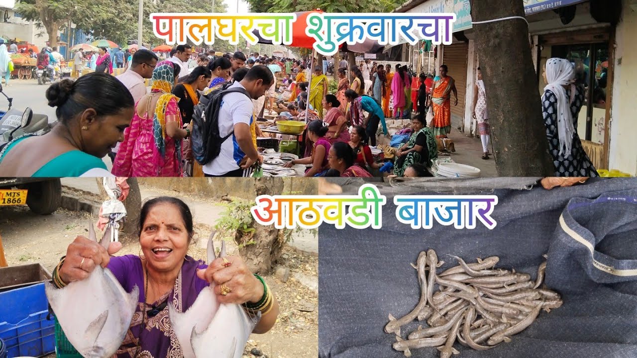 #पालघर मधला शुक्रवारचा आठवडी बाजार मस्त असे ताजे ताजे मासे Palghar fish market#