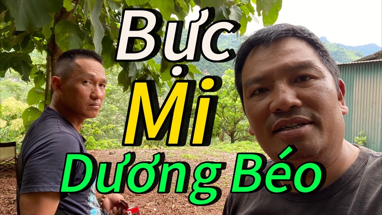 &ldquo;Tao nghỉ&rdquo; Ko phiền Dương B&eacute;o #duongbeo #xuanlambohanhlao #doanvanbau #thanh0000